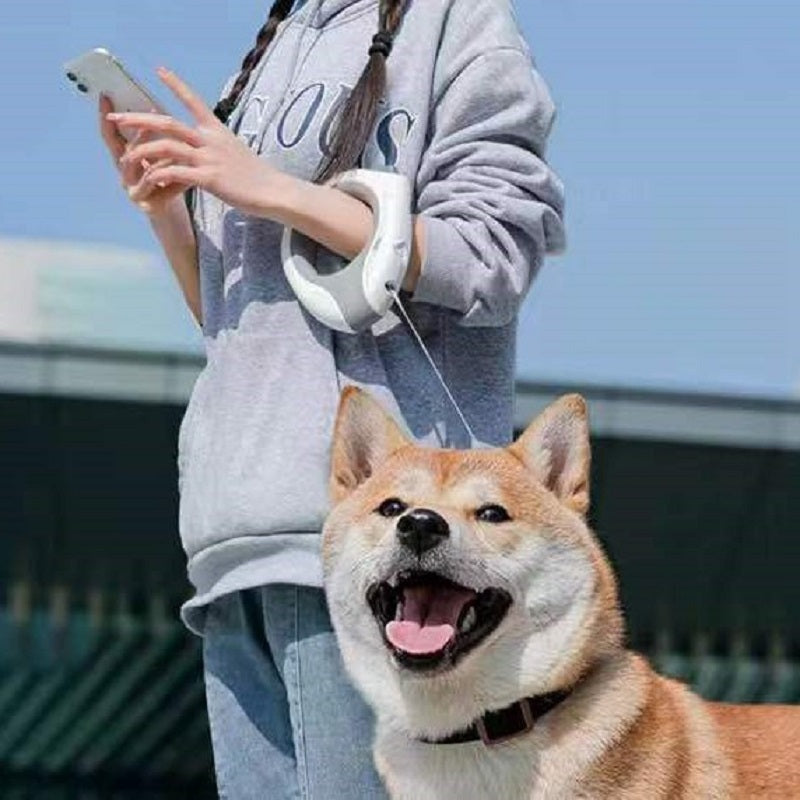 Automatic LED Retractable Leash Rope